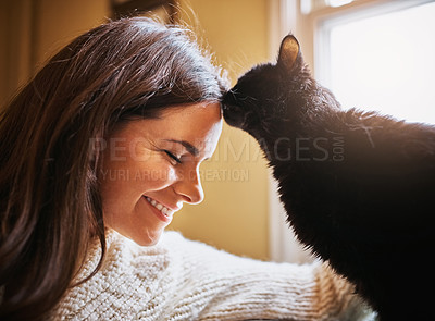 Buy stock photo Woman, smile and cat kiss in home for love, scratch and domestic animal for companion or loyalty. Female person, pet care and peace in living room or forehead touch for affection, sofa and support