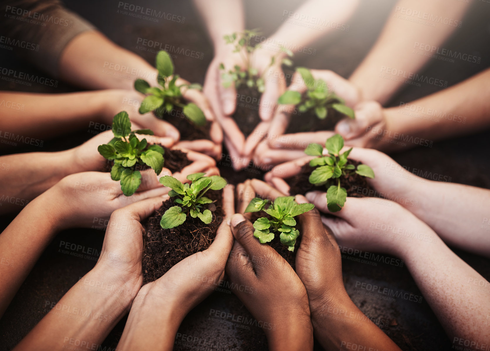 Buy stock photo Team, soil and hands with leaves in circle for sustainable, agriculture and eco friendly gardening. Community, support and group of people planting green sprout in fertilizer by agro environment.