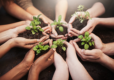Buy stock photo Community, soil and hands with leaves in circle for sustainable, agriculture and eco friendly gardening. Group, support and team of people planting green sprout in fertilizer by agro environment.