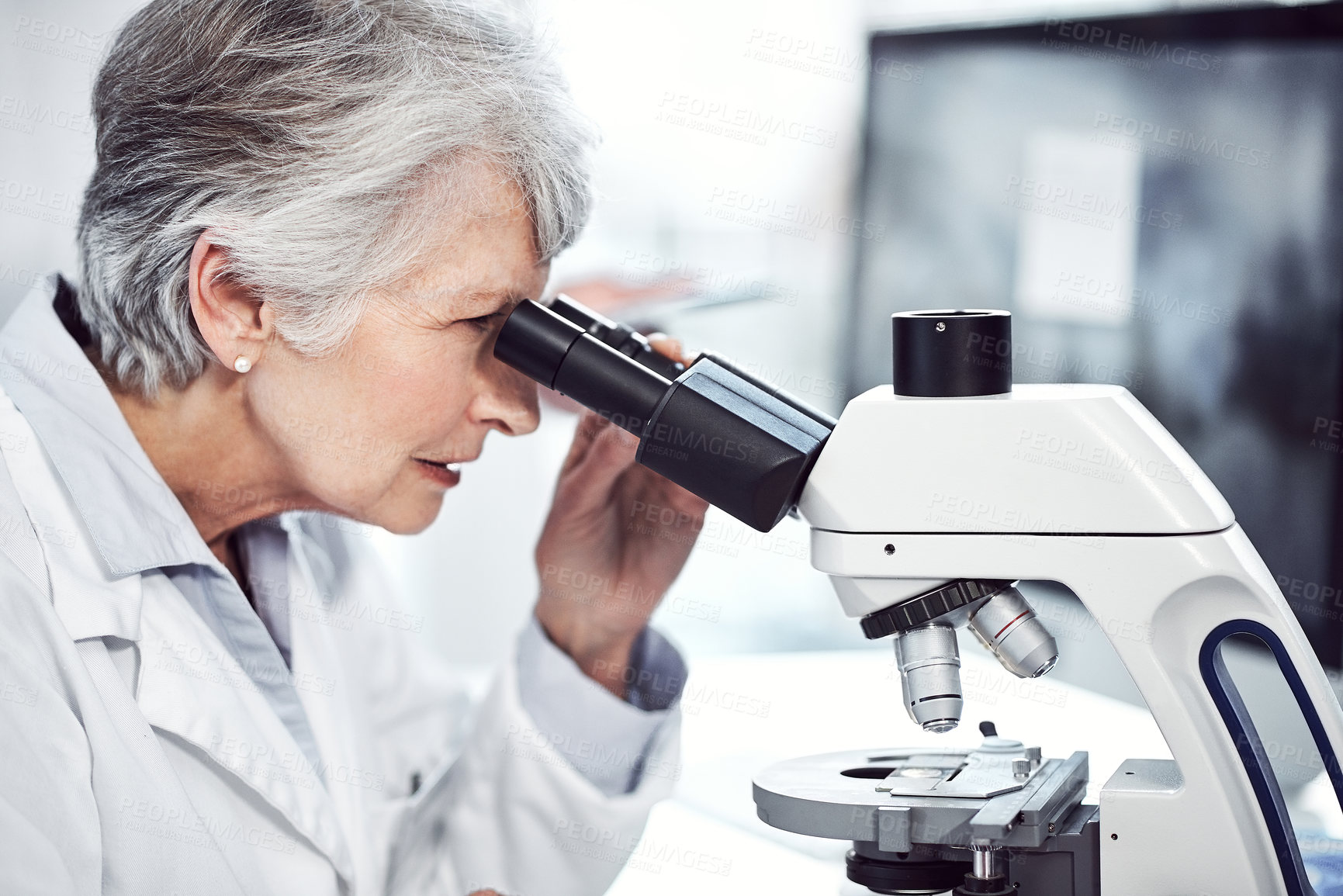 Buy stock photo Shot of a focused elderly female  scientist looking through a microscope while being seated in a laboratory