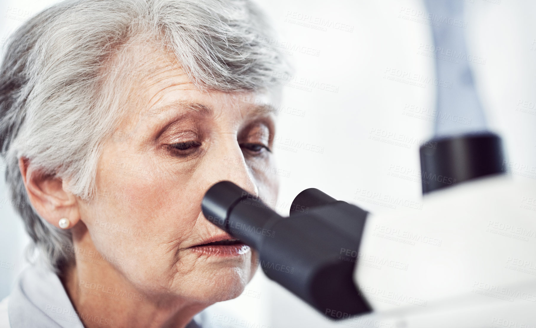 Buy stock photo Shot of a focused elderly female  scientist looking through a microscope while being seated in a laboratory