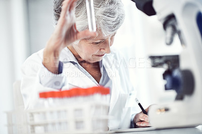 Buy stock photo Shot of a focused elderly female scientist holding up a test tube and examining it inside of a laboratory