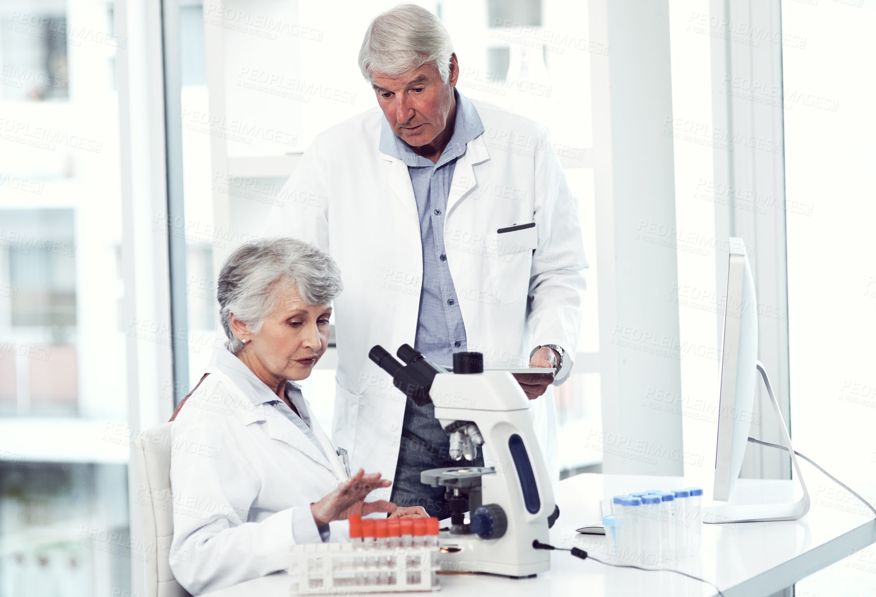 Buy stock photo Shot of two elderly and focused scientists working together inside of a laboratory