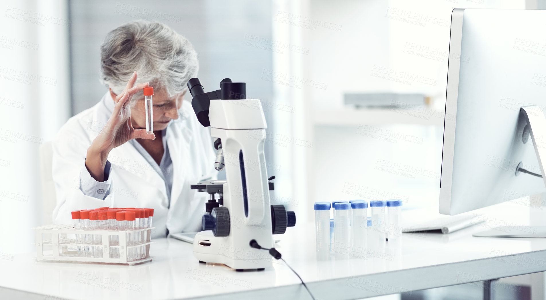 Buy stock photo Shot of a focused elderly female scientist holding up a test tube and examining it inside of a laboratory