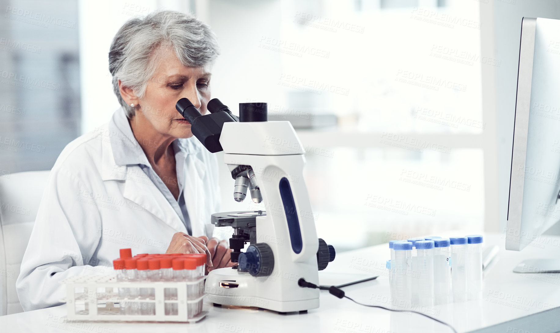 Buy stock photo Shot of a focused elderly female scientist looking through a microscope while being seated in a laboratory