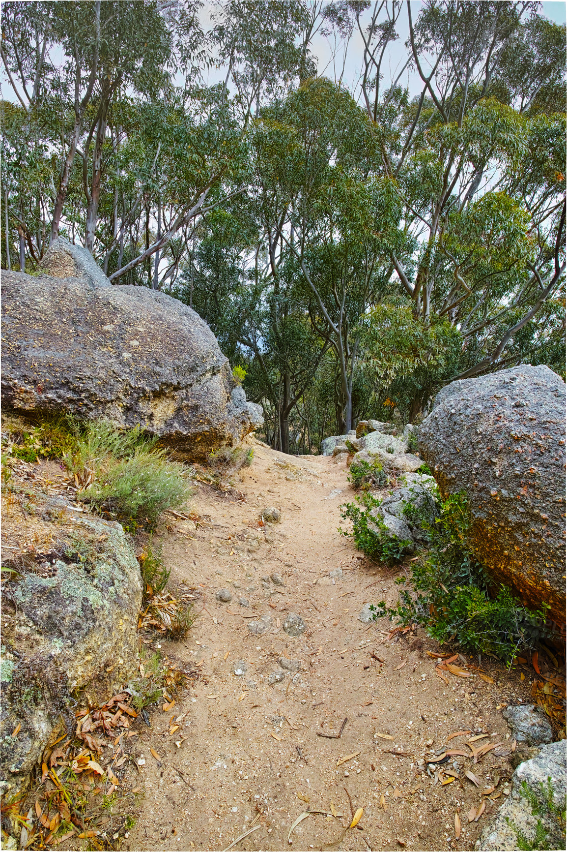 Buy stock photo Remote mountain hiking trail on Table Mountain. Secluded mountainous walking path surrounded by boulders and trees. Footpath on mountaintop. Tourist attraction in Cape Town. Walking trails to explore