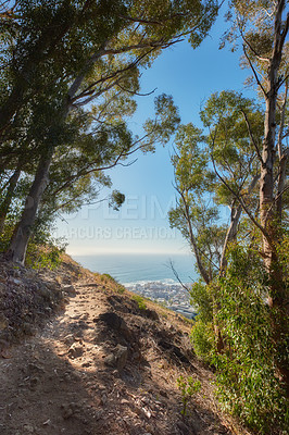 Buy stock photo Mountain hiking trail in a forest, on table mountain on a sunny day. View of remote quiet walking path high above the coast in South Africa against a blue sky. Popular tourist attraction in Cape Town