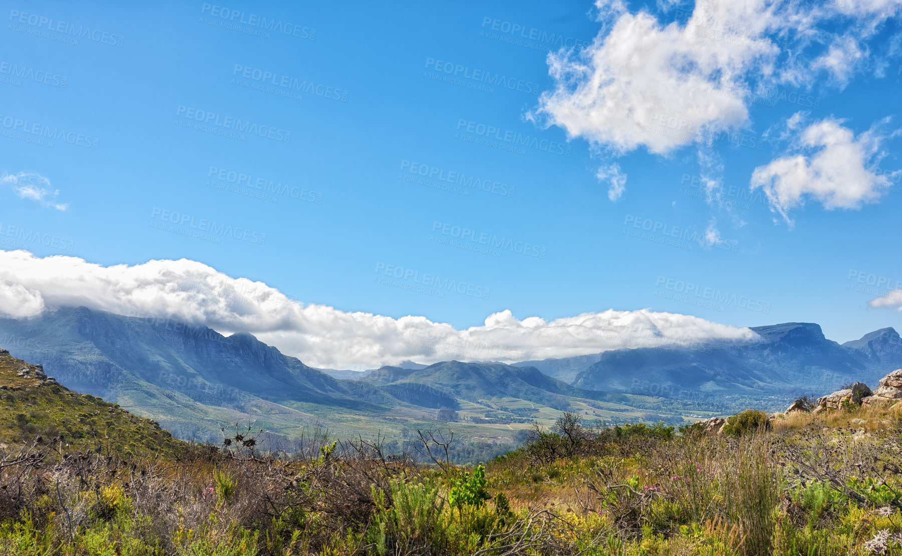 Buy stock photo Landscape view, blue cloudy sky with copy space of Table Mountain in Western Cape, South Africa. Steep scenic famous hiking and trekking terrain with the lush green mountainside. A scenic view. 