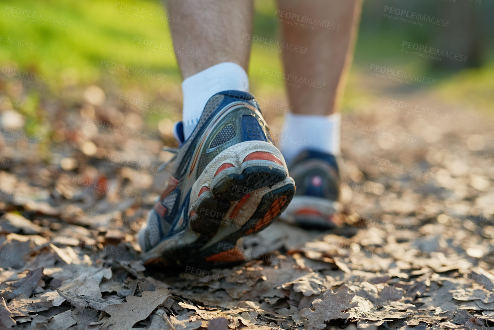 Buy stock photo Hike, man or athlete walking in forest for exercise, trekking or summer adventure for health and fitness. Male person, outdoor and sports shoes on for performance, morning cardio and exploring nature