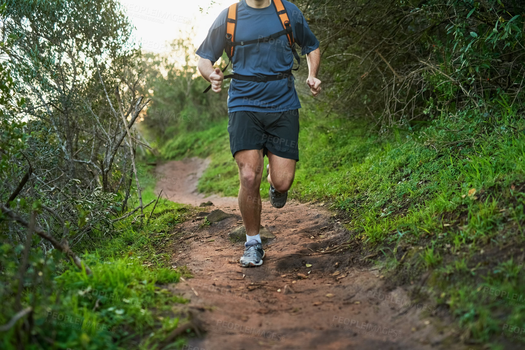 Buy stock photo Hike, man or athlete running in forest for workout, jog or summer adventure for health and fitness. Male person, outdoor and active with backpack for performance, morning cardio and exploring nature