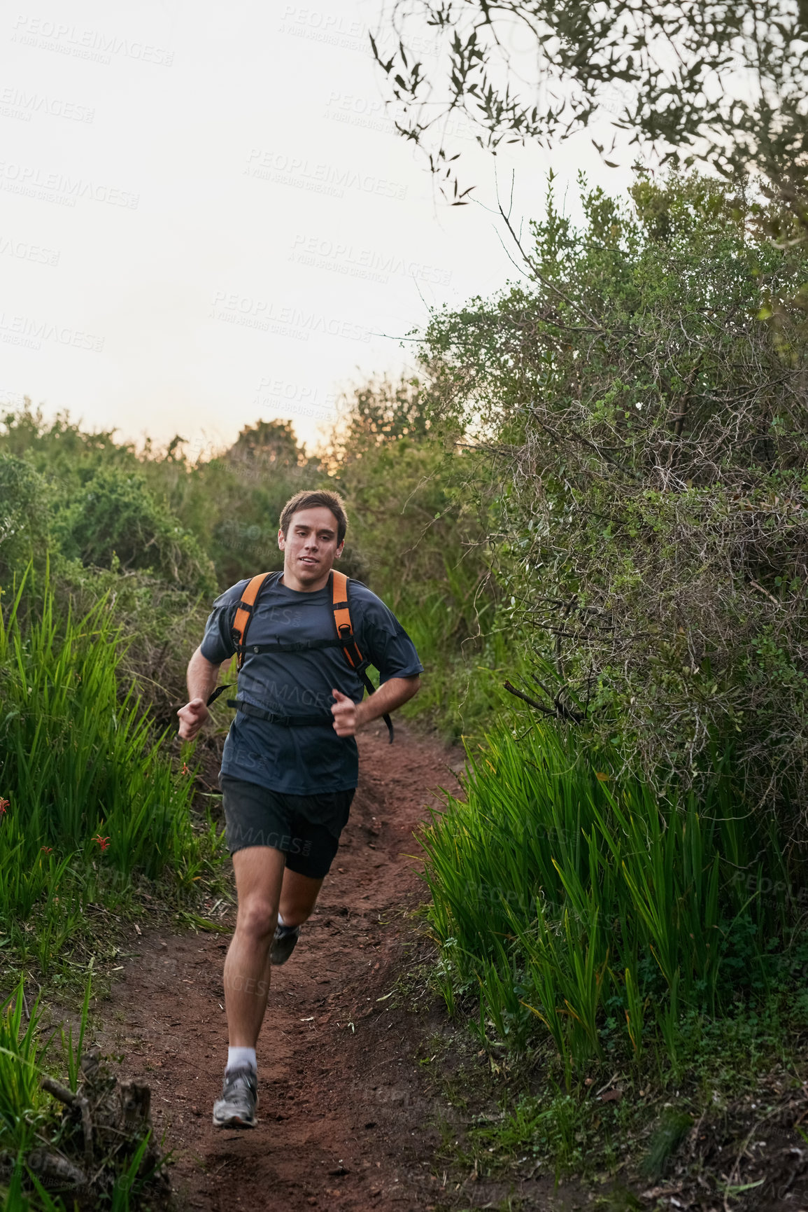 Buy stock photo Full length shot of a handsome male athlete running on a forest trail