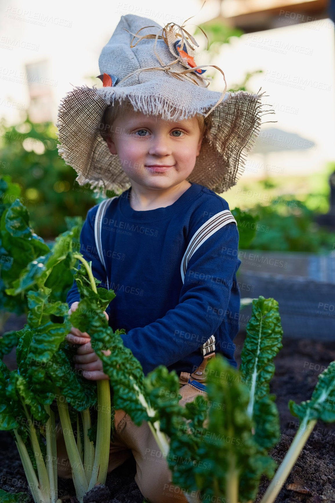 Buy stock photo Full length portrait of an adorable little boy playing in the garden