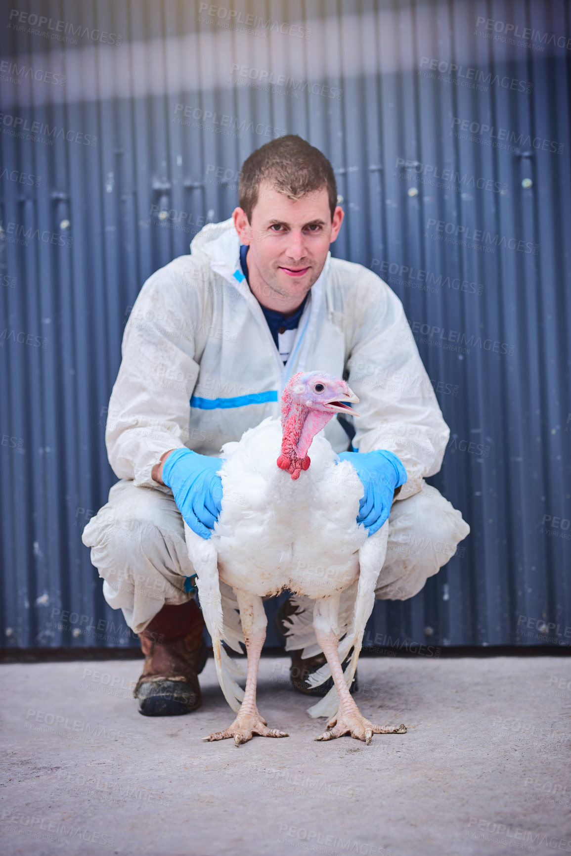 Buy stock photo Chickens, man and agriculture with livestock at factory for commercial and sustainable production. Startup business, employee and portrait with animal for fresh produce, healthy food and supply