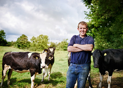 Buy stock photo Portrait, agriculture and cows with a man on a dairy farm outdoor in summer for natural sustainability. Confident, milk or meat farming and a young male farmer standing on an open field or meadow