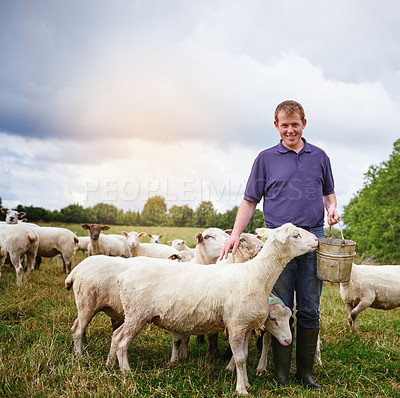 Buy stock photo Shot of a male farmer feeding a herd of sheep on a farm
