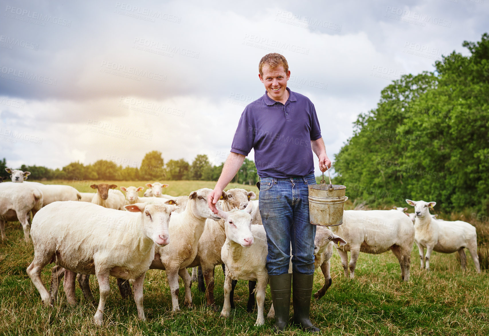 Buy stock photo Man, agriculture and cattle on field for sustainability, farming and food or dairy production. Farmer, agribusiness and feeding cows by countryside for meat or milk with grass, animals and livestock