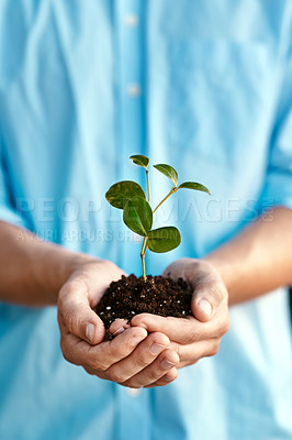 Buy stock photo Plant, growth and sustainability with hands holding a budding flower in soil closeup for conservation. Earth, spring or nature with a person nurturing growing plants in dirt for environmental ecology