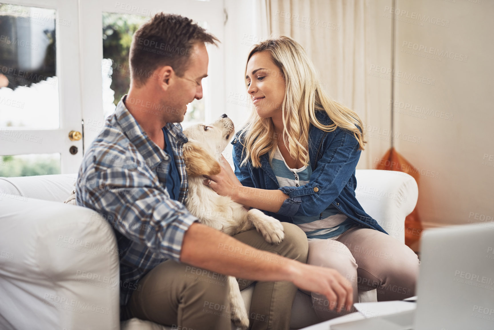 Buy stock photo House, dog and couple with laptop, love and planning for pet insurance, petting and bonding in living room. Home, people and smile for vet benefits, woman and man with protection of cover for animal