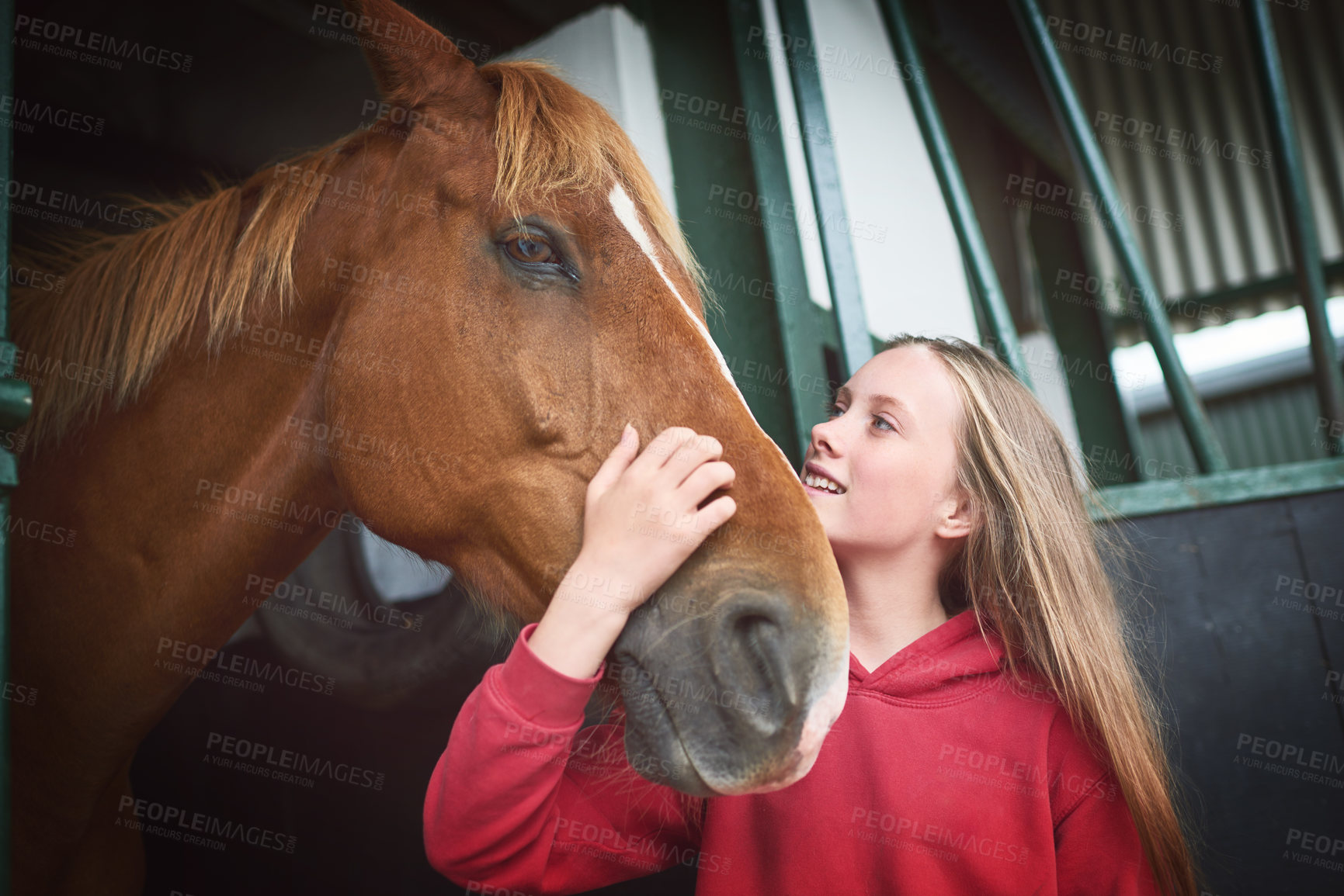 Buy stock photo Shot of a teenage girl bonding with her horse