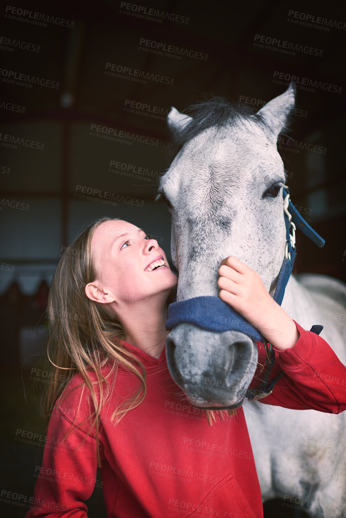 Buy stock photo Portrait, girl and horse with happiness, love and affection for equestrian, care and training on farm. Female person, teenager and animal in support, barn and bonding for sports, race or competition