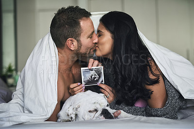 Buy stock photo Bed, couple and kiss with sonogram of ultrasound, progress and growth for baby development. Bedroom, parents and pregnant woman with fetus scan for pregnancy, motherhood and bonding with dog in home