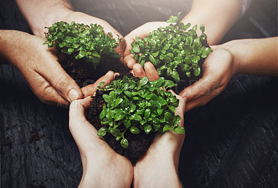Buy stock photo Plants and soil in the hands of a group of people for green business, growth and sustainability from above. Budding and growing from the earth or dirt, a symbol of recycling, care and conservation 