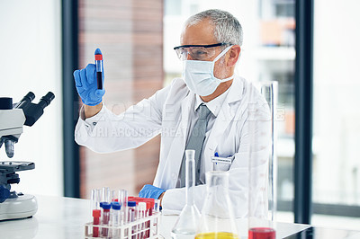 Buy stock photo Science, scientist and doctor with a vaccine in a blood test with results of medical exam in lab or laboratory. Medicine, research and healthcare man or chemistry professional with solution for covid