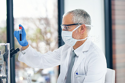 Buy stock photo Cropped shot of a scientist examining a test tube in a lab
