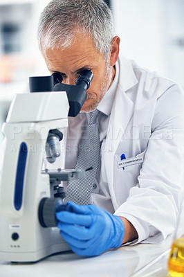 Buy stock photo Sample, mature man and microscope in lab for discovery, medical research and test for forensics. Male person, analyze and doctor for biology or pathology exam, lens and check results of experiment