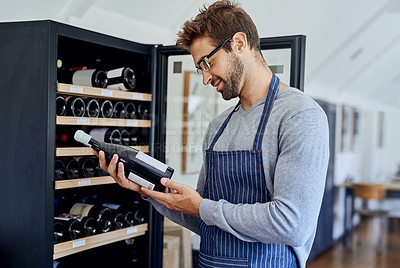 Buy stock photo Bottle, cafe and man at wine shelf for selection, choice and luxury hospitality at bistro. Reading, alcohol label and restaurant sommelier, waiter or small business owner checking drinks quality.