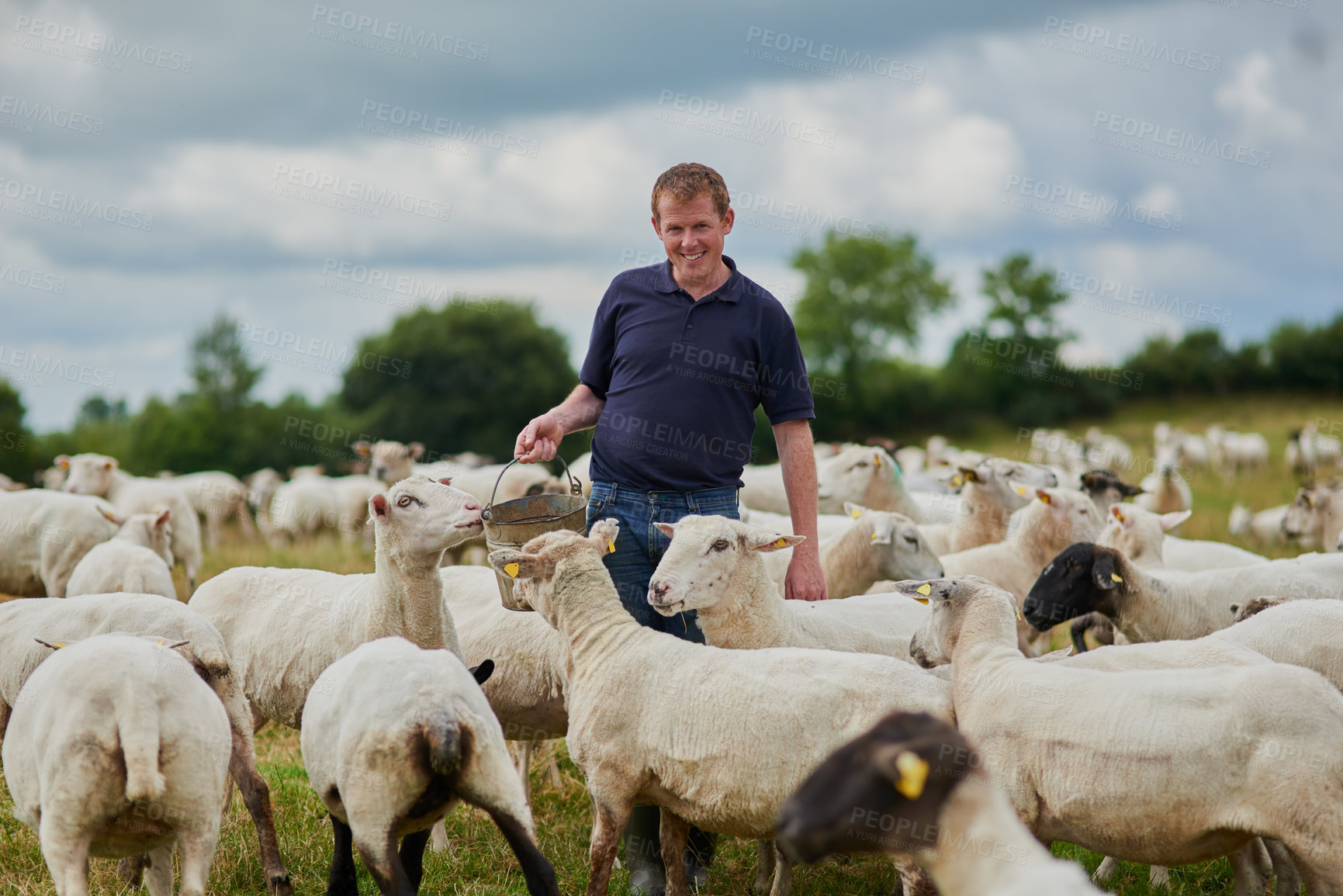 Buy stock photo Farm, sheep and happy with man in field for agriculture, sustainability and animal care. Labor, ecology and summer with male farmer in countryside meadow for cattle, livestock and lamb pasture