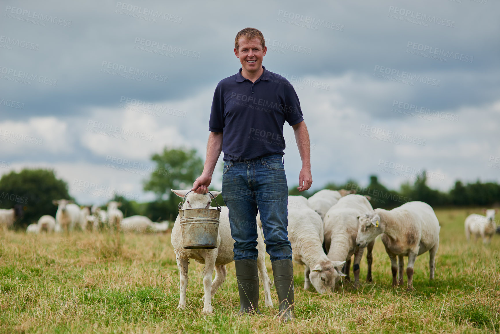 Buy stock photo Portrait of a cheerful young farmer walking with a herd of sheep and feeding them while holding a bucket