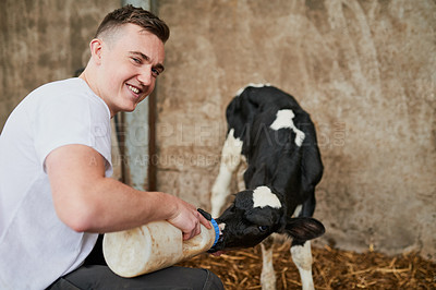 Buy stock photo Cropped portrait of a handsome young man feeding a calf in a dairy farm