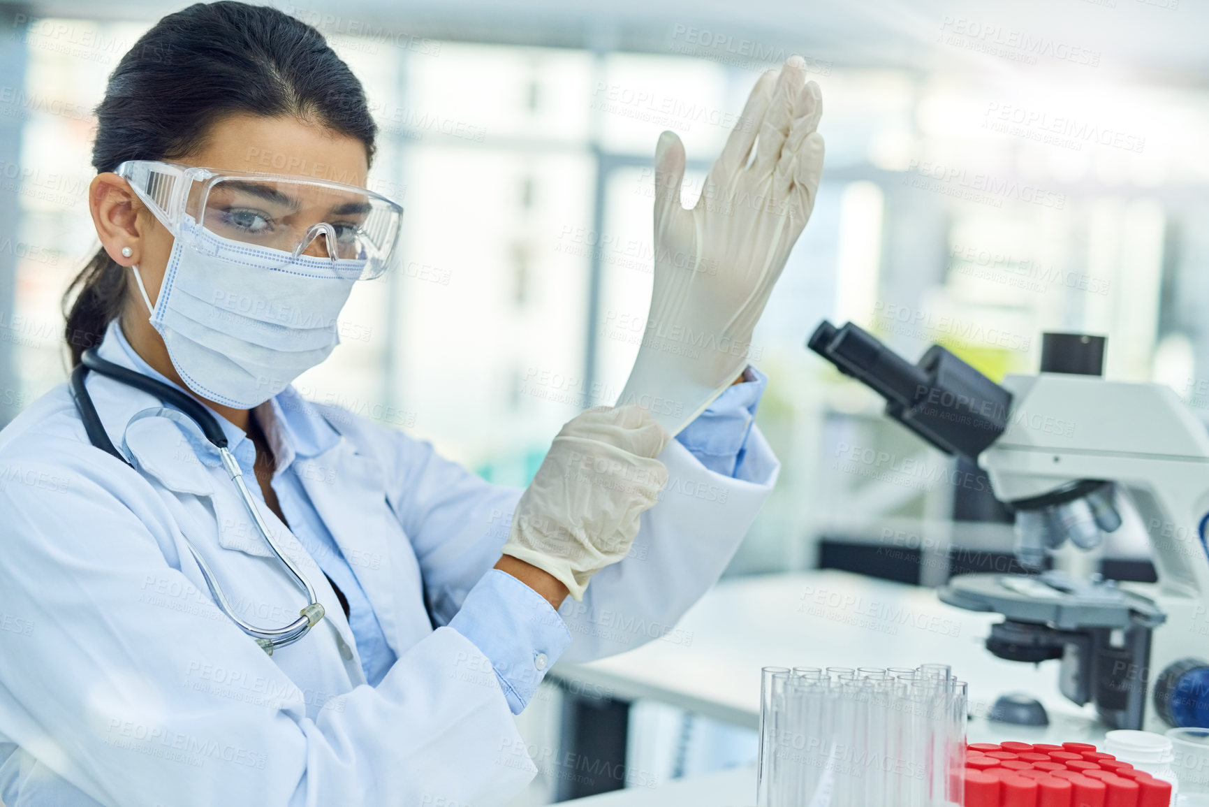 Buy stock photo Portrait of a young scientist putting on protective gloves while working in a lab