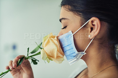 Buy stock photo Shot of a young woman smelling a flower while wearing a surgical mask