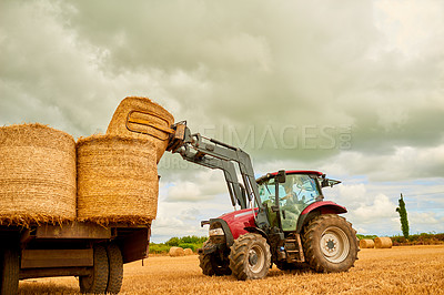 Buy stock photo Shot of a farmer stacking hale bales with a tractor on his farm