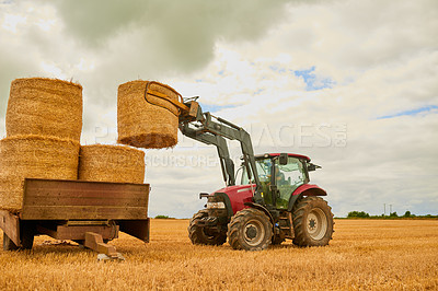 Buy stock photo Hay, agriculture and a tractor on a farm for sustainability outdoor on an open field during the harvest season. Nature, sky and clouds with a red agricultural vehicle harvesting in the countryside