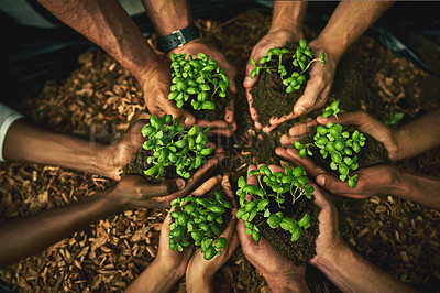 Buy stock photo Closeup shot of a group of unidentifiable people holding plants growing in soil