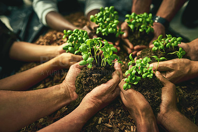 Buy stock photo A diverse group of sustainable people holding plants in an eco friendly environment for nature conservation. Closeup of hands planting in fertile soil for sustainability and organic farming
