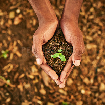 Buy stock photo Closeup shot of an unidentifiable person holding a plant growing in soil