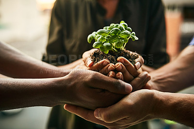 Buy stock photo Closeup shot of a group of unidentifiable people holding a plant growing in soil