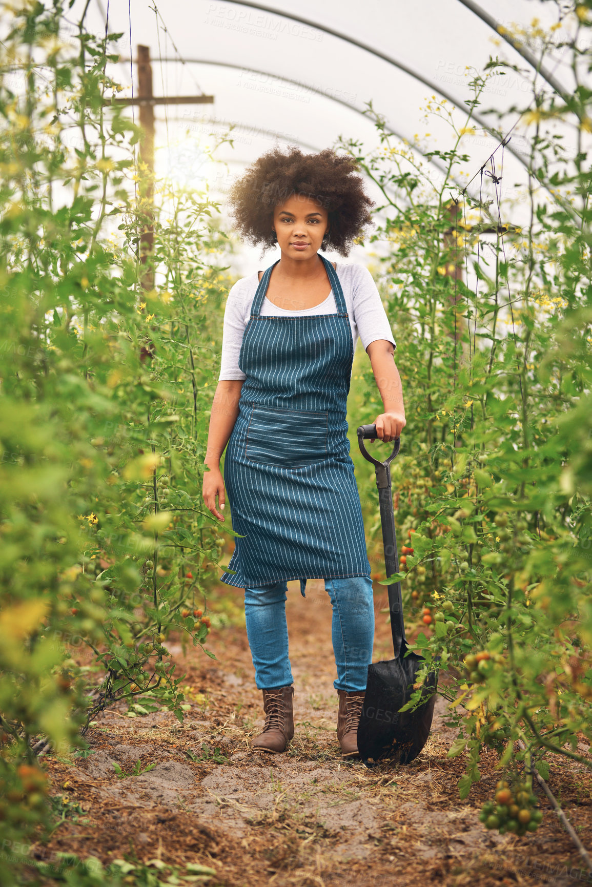 Buy stock photo Full length shot of an attractive young female farmer standing in a vineyard with a shovel