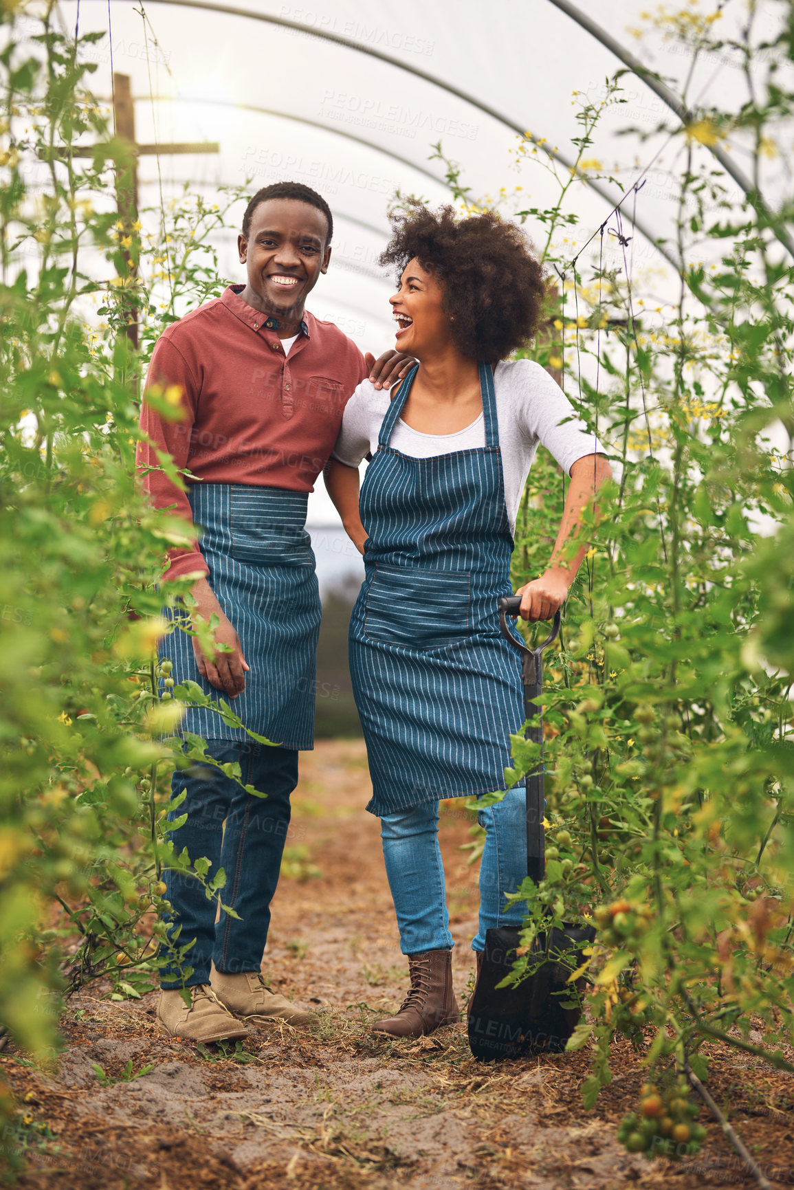 Buy stock photo Happy couple, farm and green house with shovel for agriculture, harvesting or natural production. Young, man and woman with smile for conversation, crops or fresh produce in nature garden or farmland