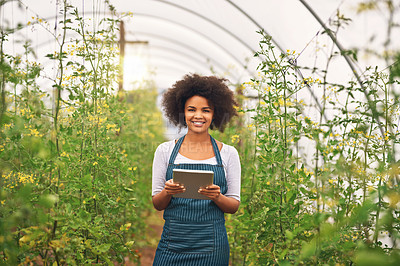 Buy stock photo Cropped portrait of an attractive young female farmer using a tablet while checking her crops