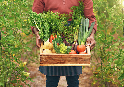 Buy stock photo Cropped shot of an unrecognizable male farmer carrying a crate of fresh produce