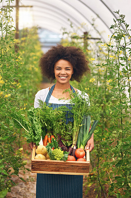 Buy stock photo Portrait, woman and box with vegetables in greenhouse for sustainable, production and cultivation. Smile, worker and basket with harvest in nature for eco friendly, gardening and organic farming
