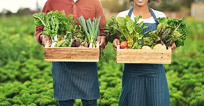 Buy stock photo Cropped shot of an unrecognizable farm couple carrying crates of fresh produce