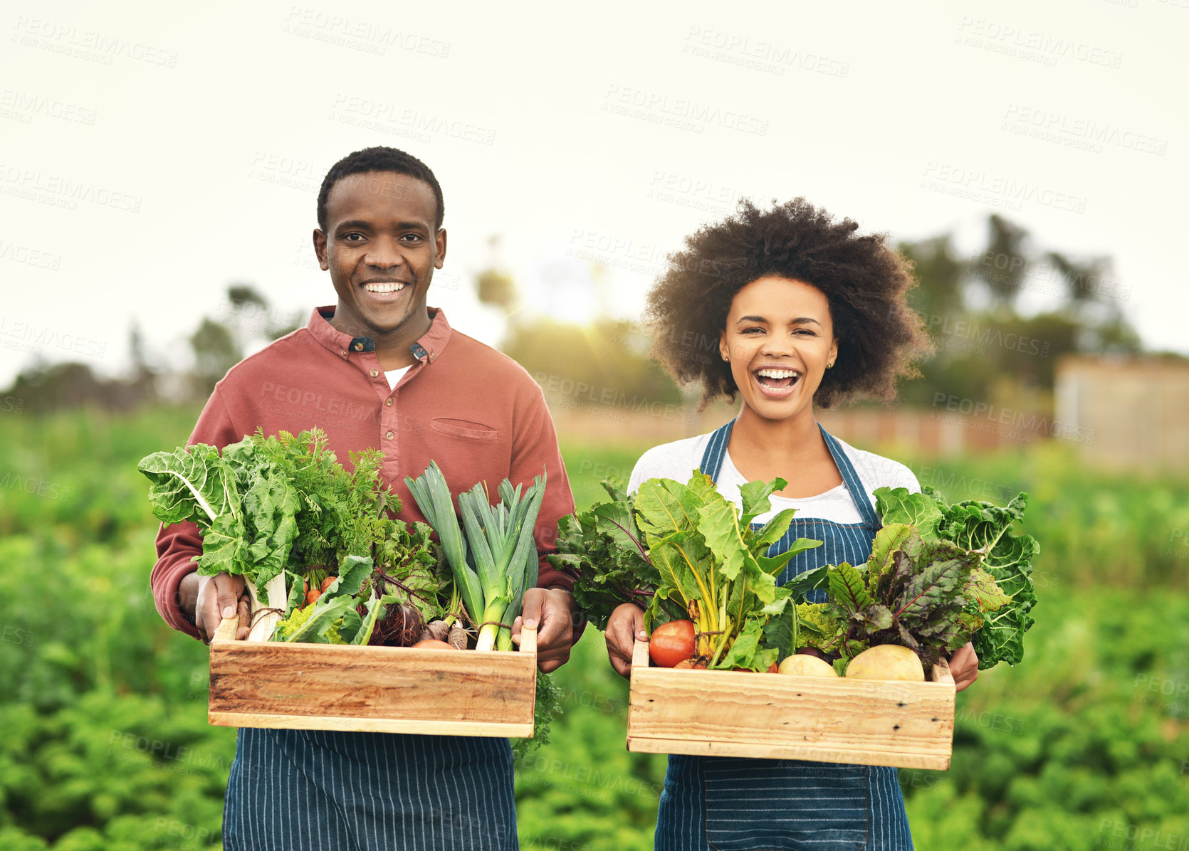 Buy stock photo Cropped portrait of a young farm couple carrying crates of fresh produce