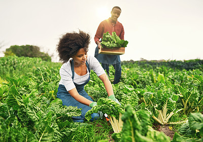 Buy stock photo Shot of an attractive young female farmer working the fields with her husband in the background