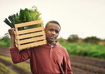 Buy stock photo Cropped shot of a handsome young male farmer carrying a crate of fresh produce